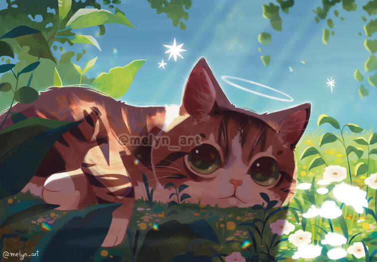 Option C (large canvas) : start at €120