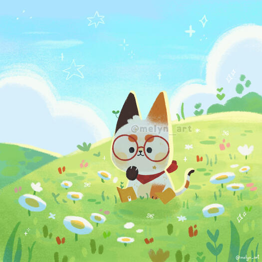 Option B : start at €50