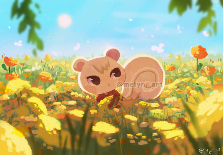 Option C (large canvas) : start at €120